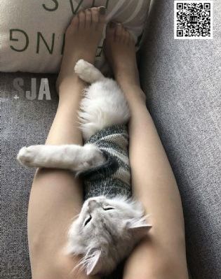 国产aⅴ视频一区二区三区_1080免费电视剧
