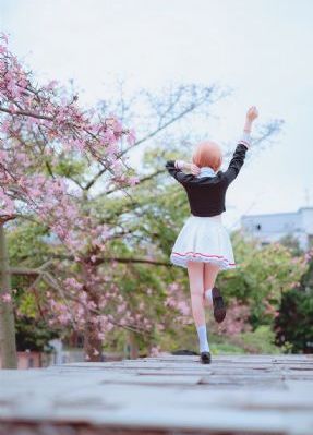 久久久久久精品免费免费直播_1080P免费播放
